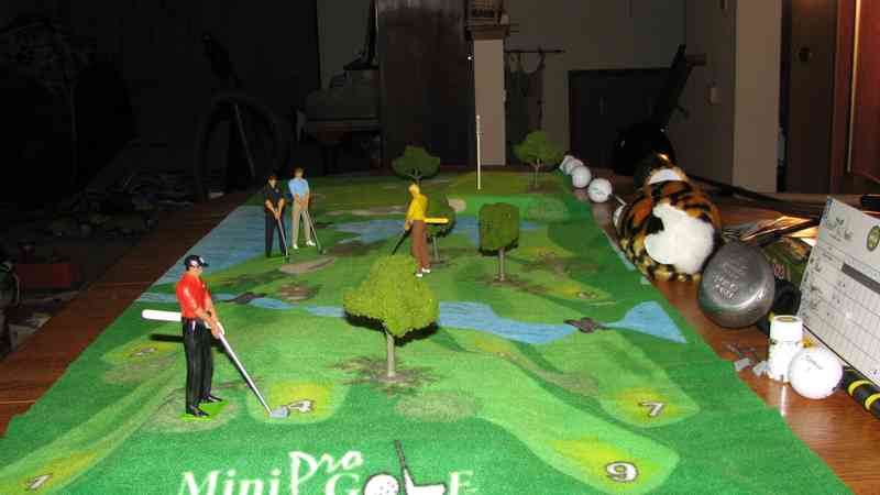 Mini Pro Golf