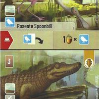 Forest Shuffle: Roseate Spoonbill / American Alligator Promo Card