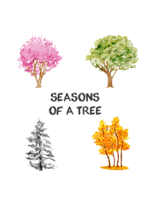 Seasons of a Tree
