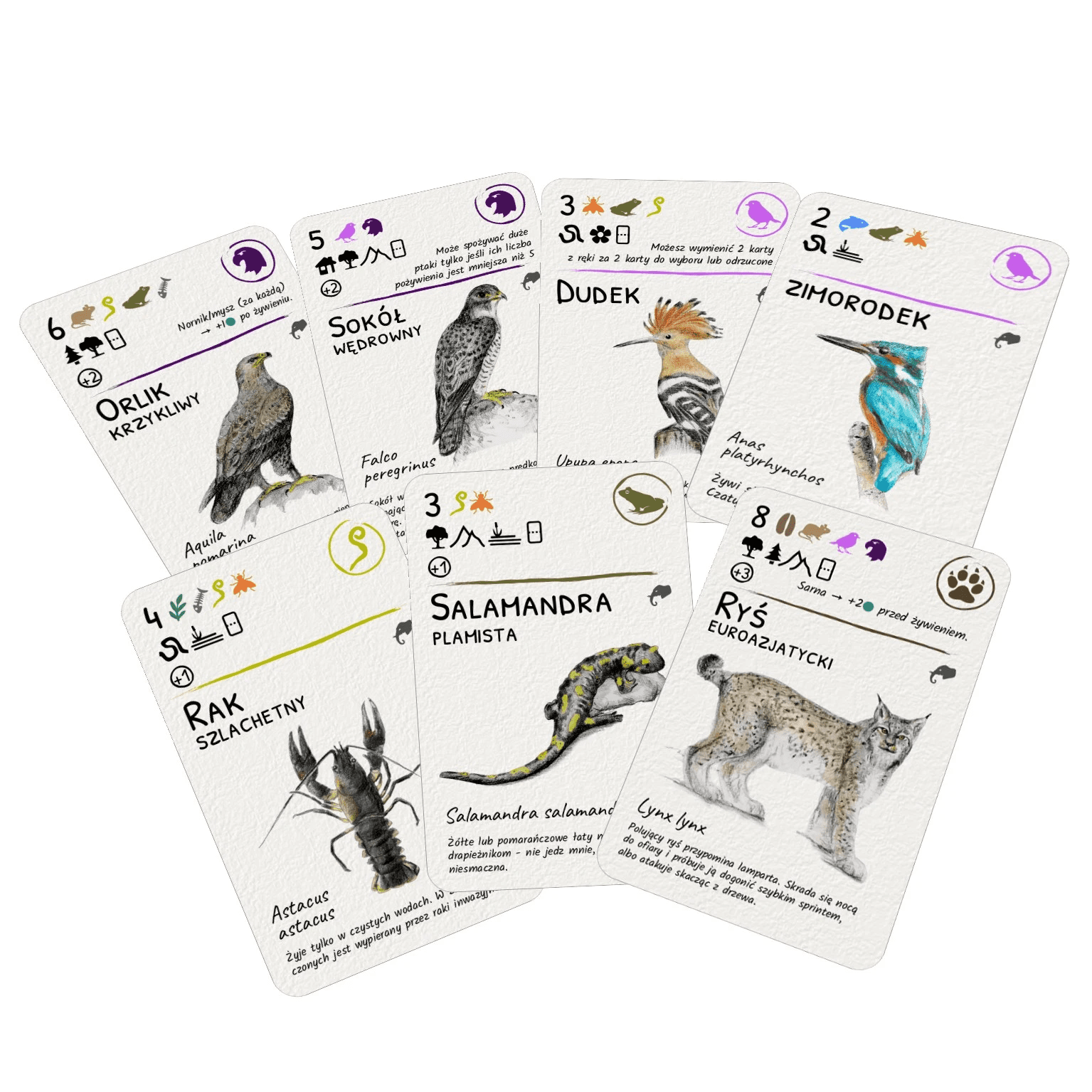 EcoLogic: Europe – Rare Animal Cards