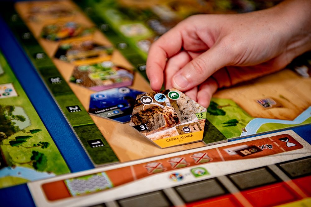 Sanctuary @ BoardGameColors