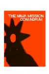 RPG Item: The Ninja Mission Conundrum