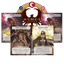 Board Game Accessory: Ashes Reborn: Team Covenant Ashes Reborn Discord League Alternate Art Bundle 01