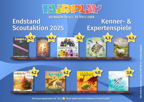 Fairplay 2025 scoutaktion results for the Expert category