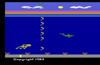 Video Game: Dolphin