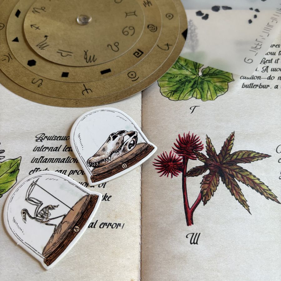 Emerald Echoes - cartelle puzzle verdi e blu, lettere manoscritte e oggetti tattili del gioco da tavolo PostCurious