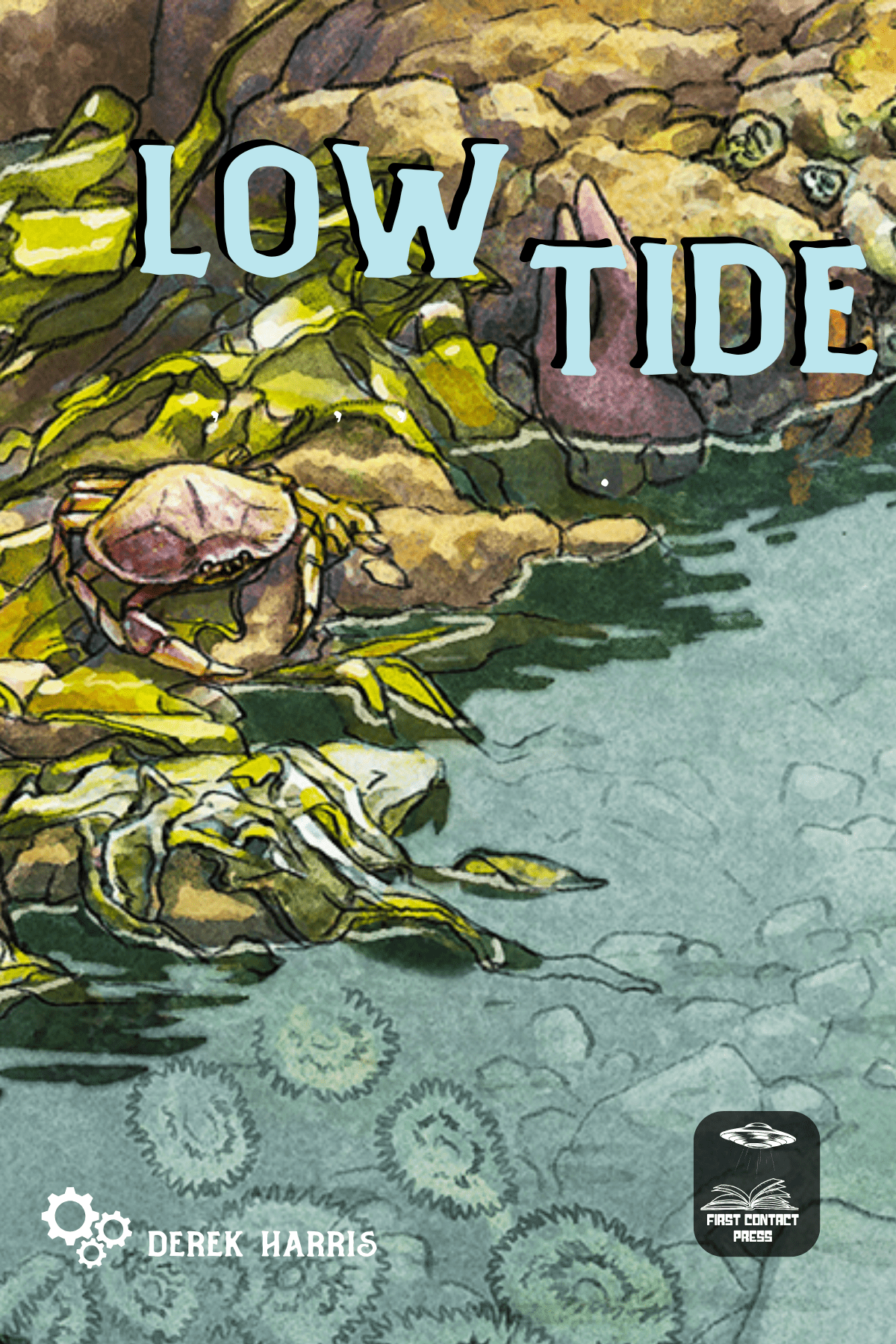 Low Tide