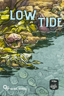 Low Tide
