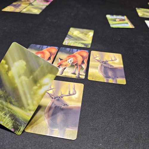 Ecosystem - Gameplay