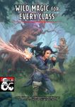 RPG Item: Wild Magic for Every Class