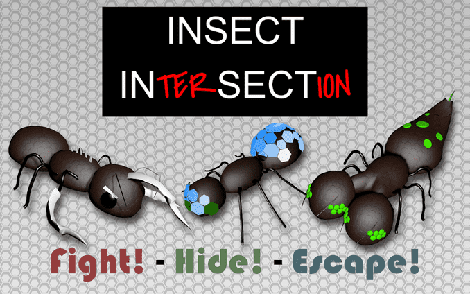 Insect Intersection