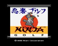 Video Game: Ninja Golf
