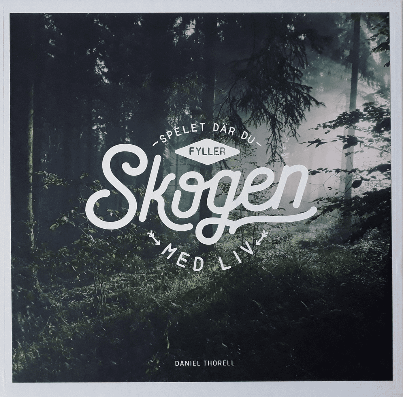 Boîte du jeu Skogen