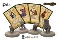 Nova Aetas: Pets