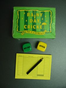 Rainy Day Cricket