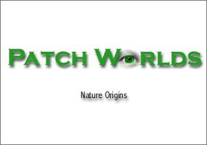 Patch Worlds