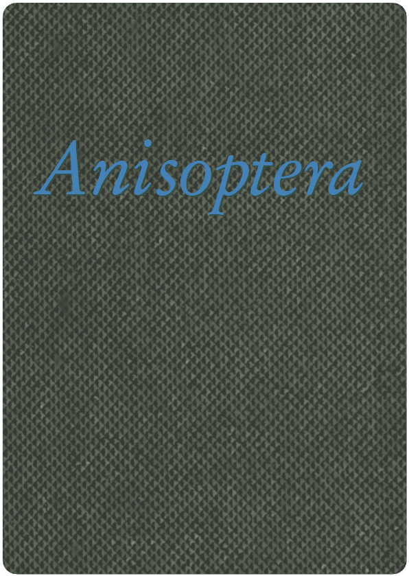 Anisoptera