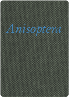 Anisoptera