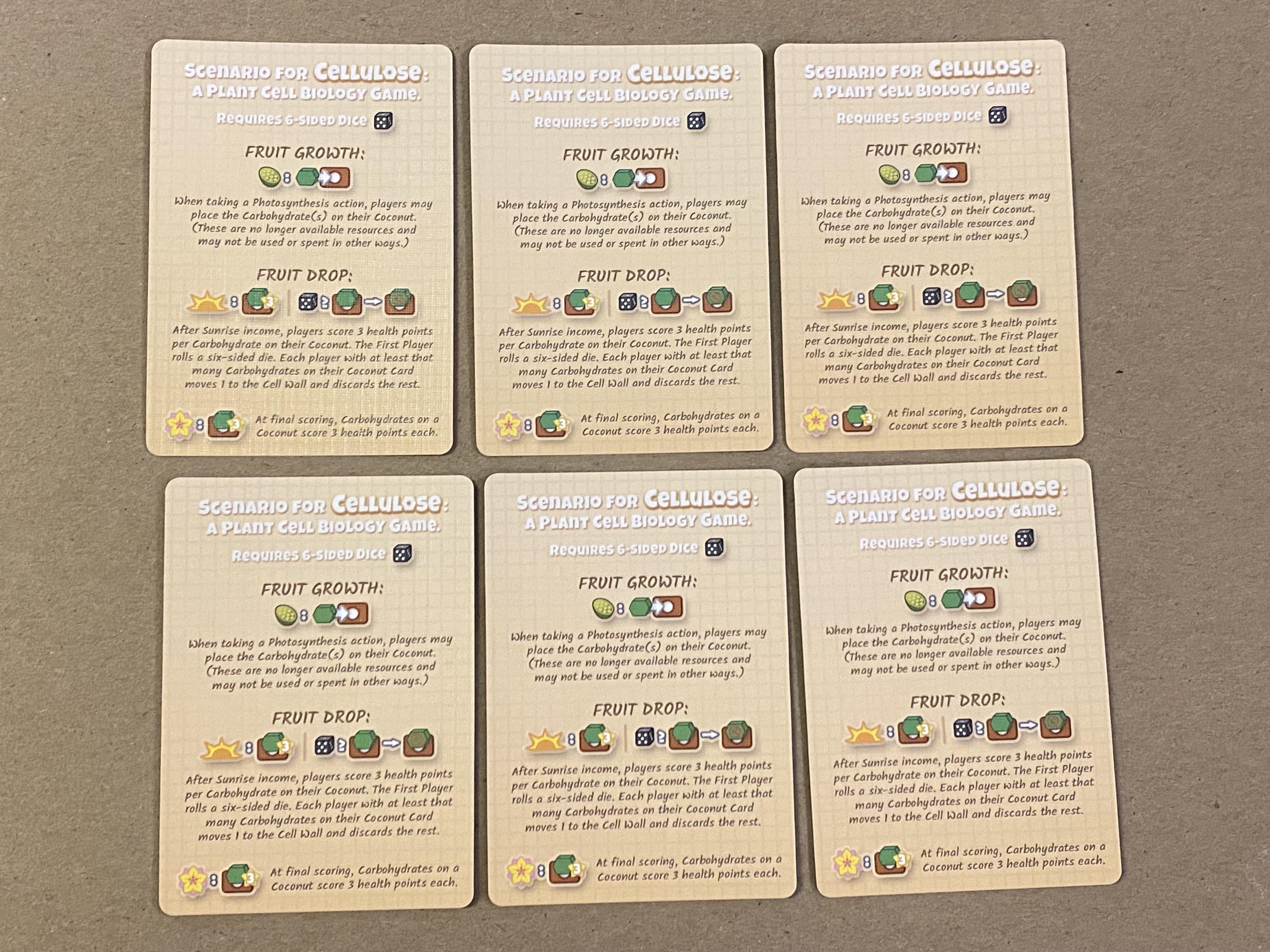 Cellulose: A Plant Cell Biology Game – Coconut Scenario