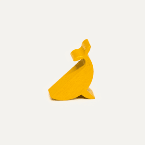 Whale to Look: Shachihoko