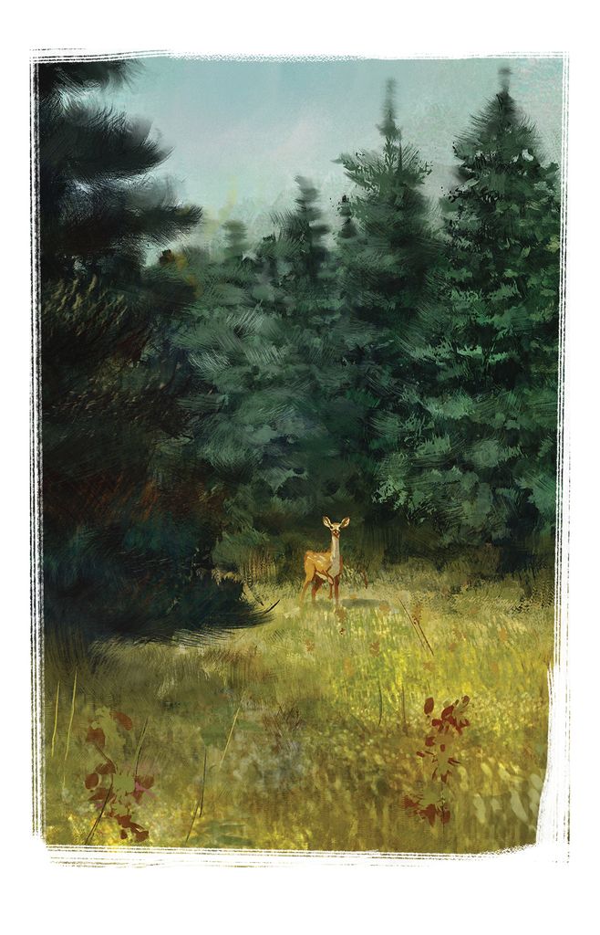 Illustration 4 de Stroganov