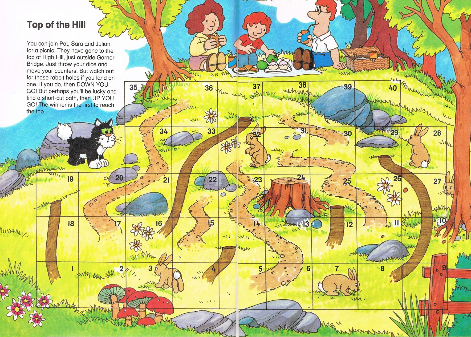 Top of the Hill box art