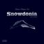 Board Game: Snowdonia: Deluxe Master Set
