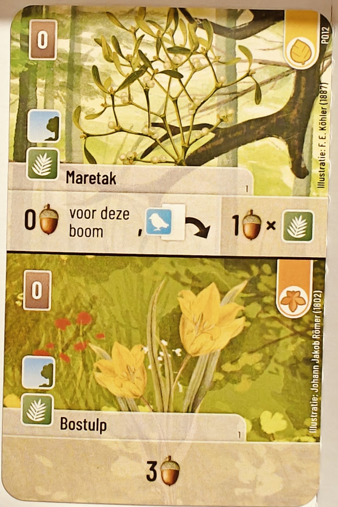 Forest Shuffle: Maretak / Bostulp Promo Card