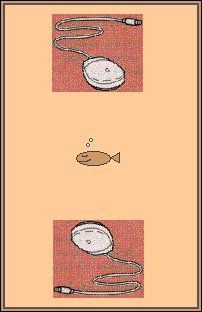 Computer Go Fish