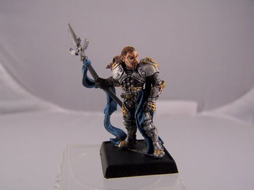 Reaper Miniatures Lorielle Silverrain #14058 - Unlackierte Fantasy-Miniatur