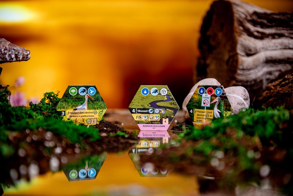Sanctuary @ BoardGameColors