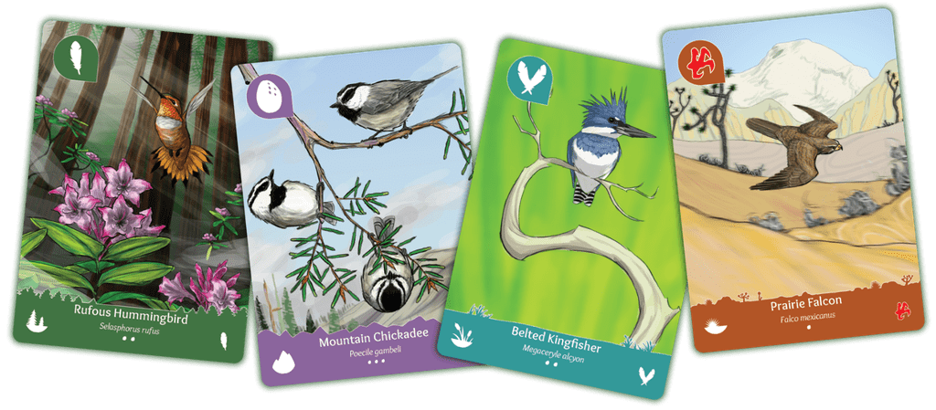 Illustration 2 de Birds of a Feather: Western North America