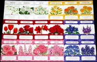 All the cards for Tussie Mussie!
