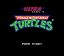 Video Game: Teenage Mutant Ninja Turtles
