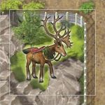 Board Game: Zooloretto: The Reindeer
