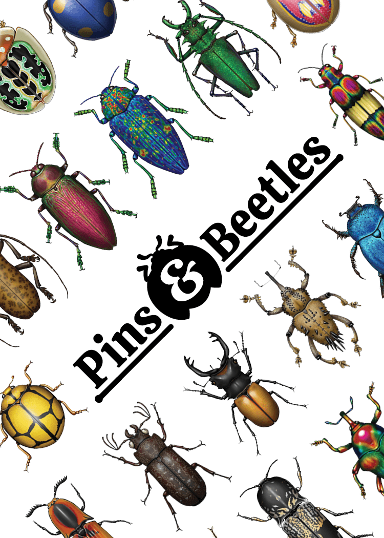 Pins & Beetles
