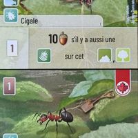 Forêt Mixte: Cigale / Fourmi Rousse Promo Card