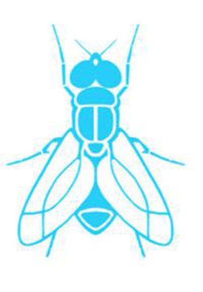 Fly (fan expansion for Hive)