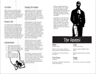 RPG Item: The Anansi