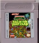 Video Game: Teenage Mutant Ninja Turtles: Fall of the Foot Clan
