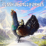 Clash of Galliformes (2024)