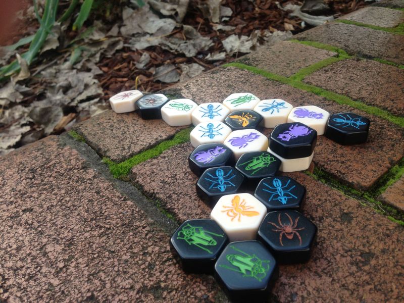 Asset image game Hive Pocket