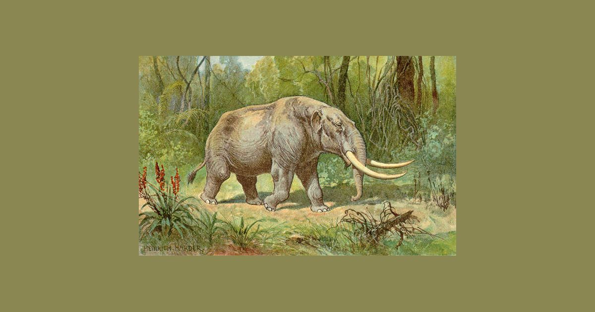 Extinct elephant-like mammal of the genus Mammut that flourished