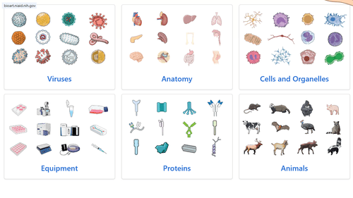 Free biology art assets released by NIH