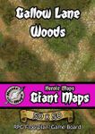 RPG Item: Heroic Maps Giant Maps: Gallow Lane Woods