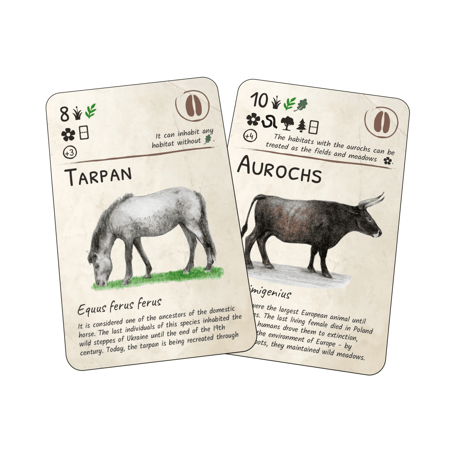 EcoLogic: Europe – Aurochs + Tarpan