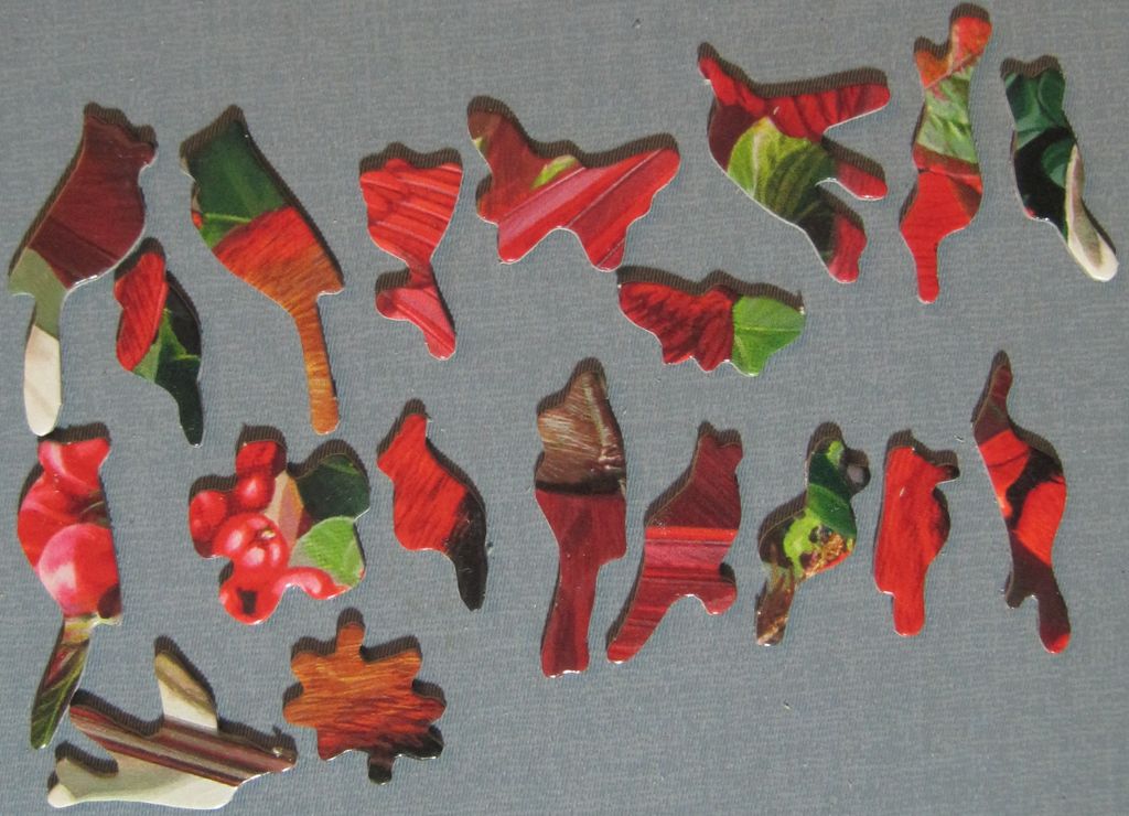 From gallery of Jude