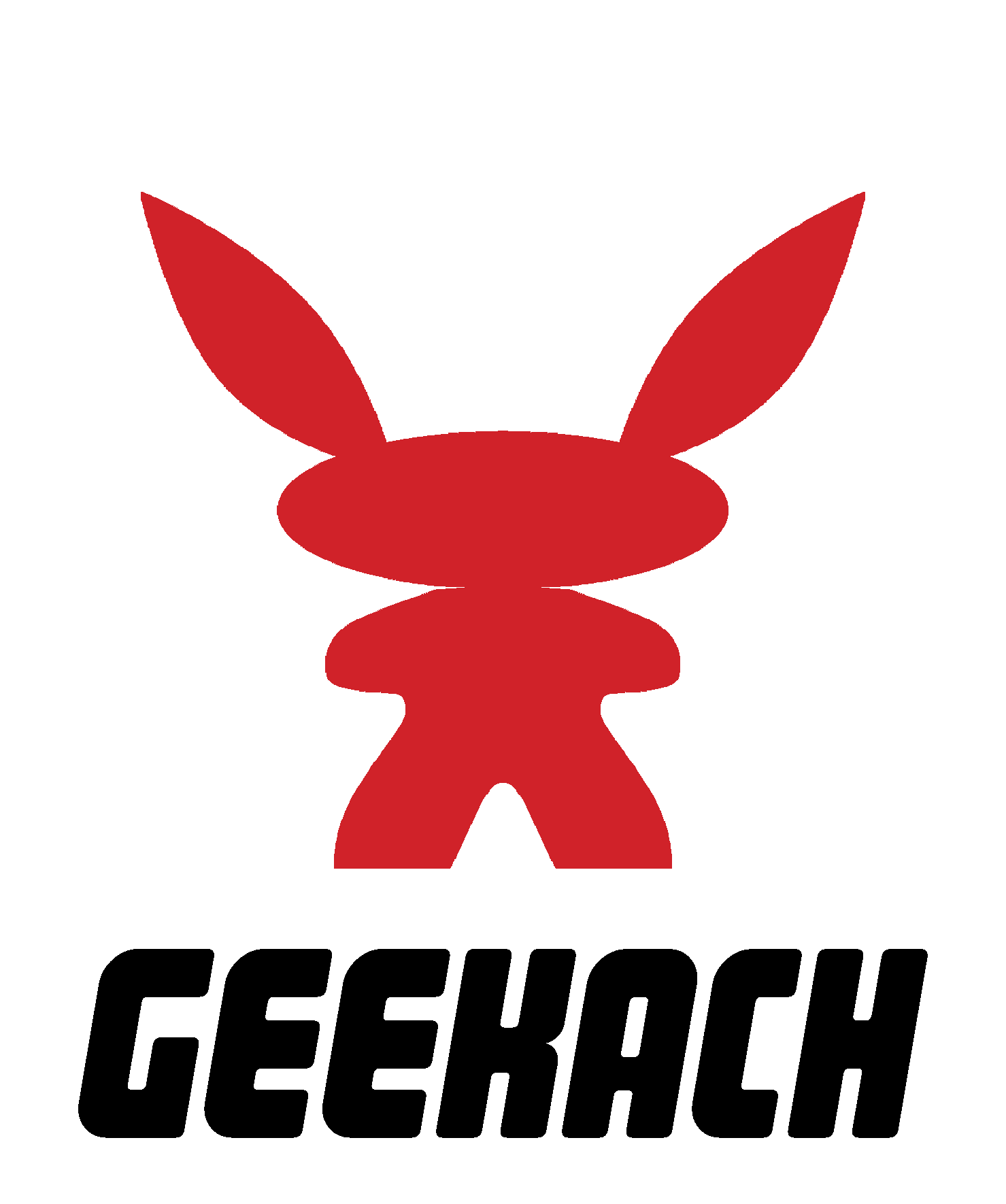 Geekach LLC