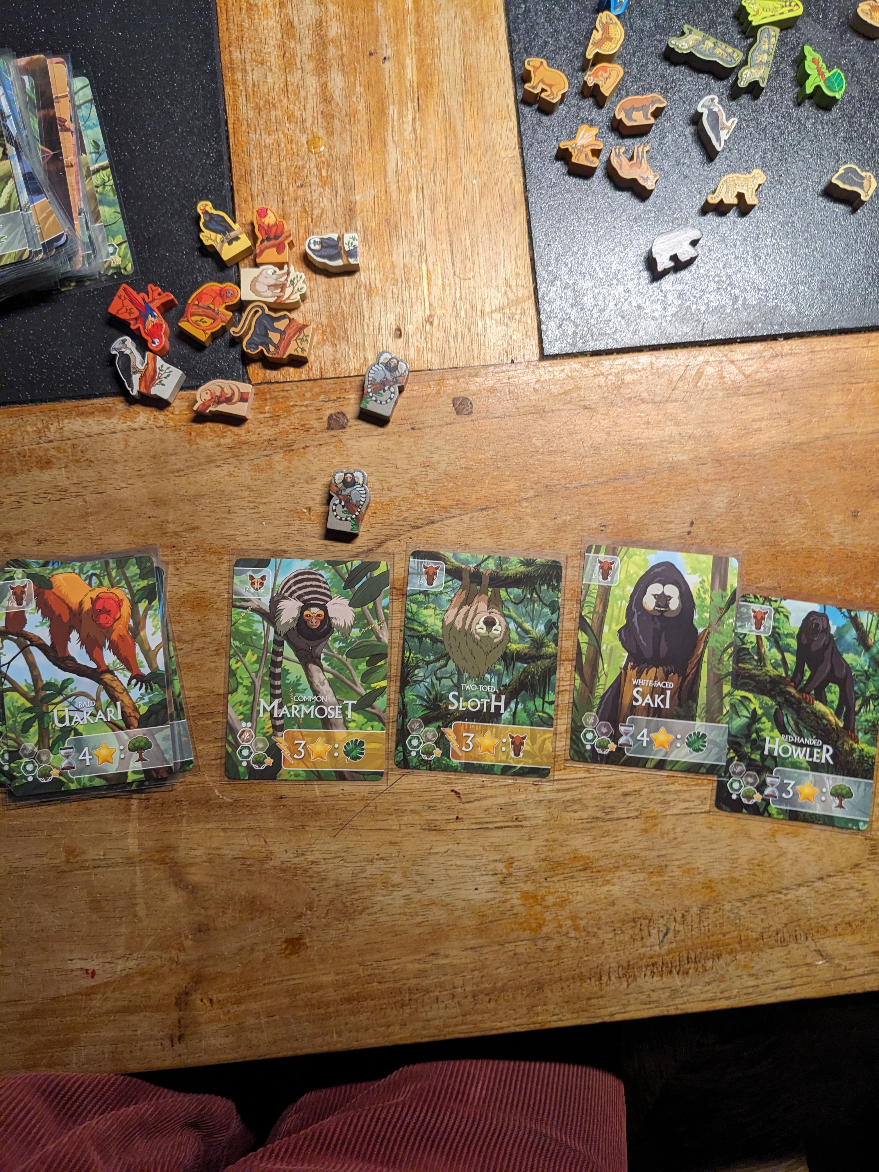 11 meeples on branches 1 dup? | Rewild: South America