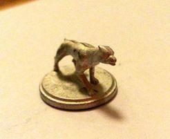 Gladiatori: the Dog